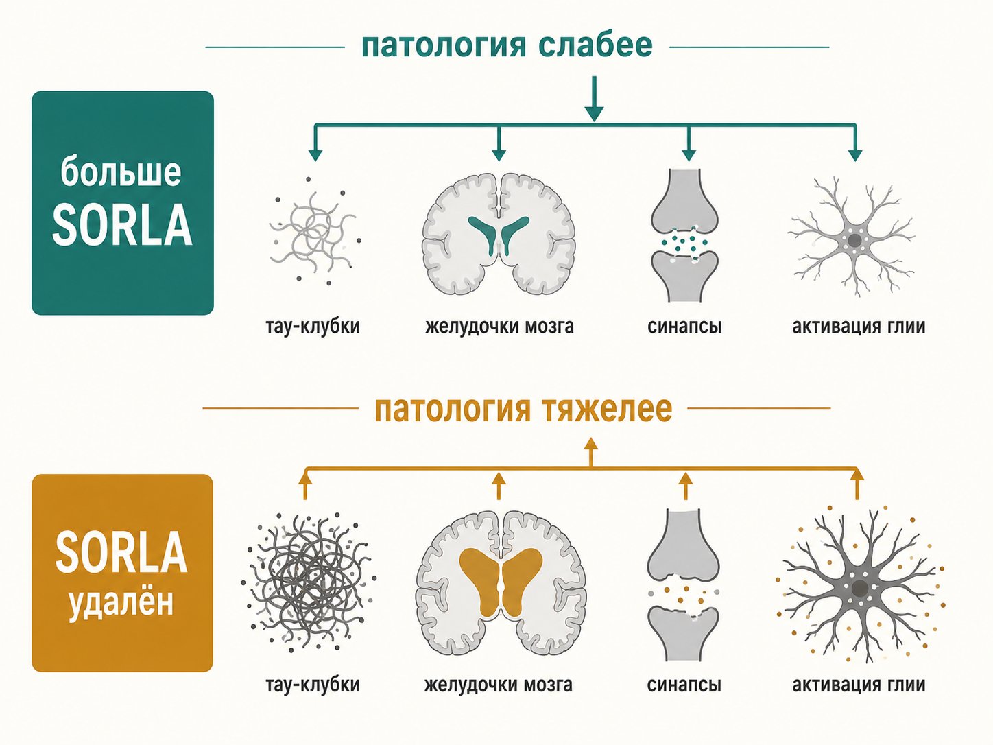 двусторонний результат, SORLA больше и SORLA удалён