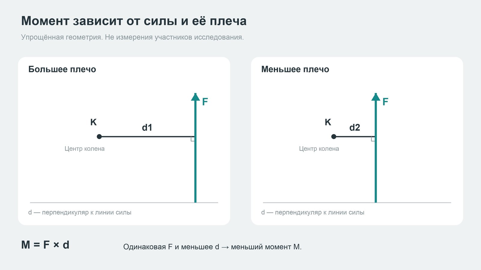 Схема: при одинаковой силе F меньшее перпендикулярное плечо d уменьшает момент M. Условная геометрия не показывает все силы внутри сустава.