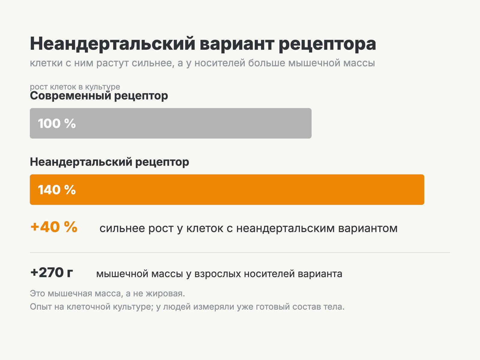 Клетки с неандертальским рецептором растут на 40 % сильнее, у взрослых носителей варианта — примерно на 270 г больше мышц. У детей до пубертата такой разницы не находят.