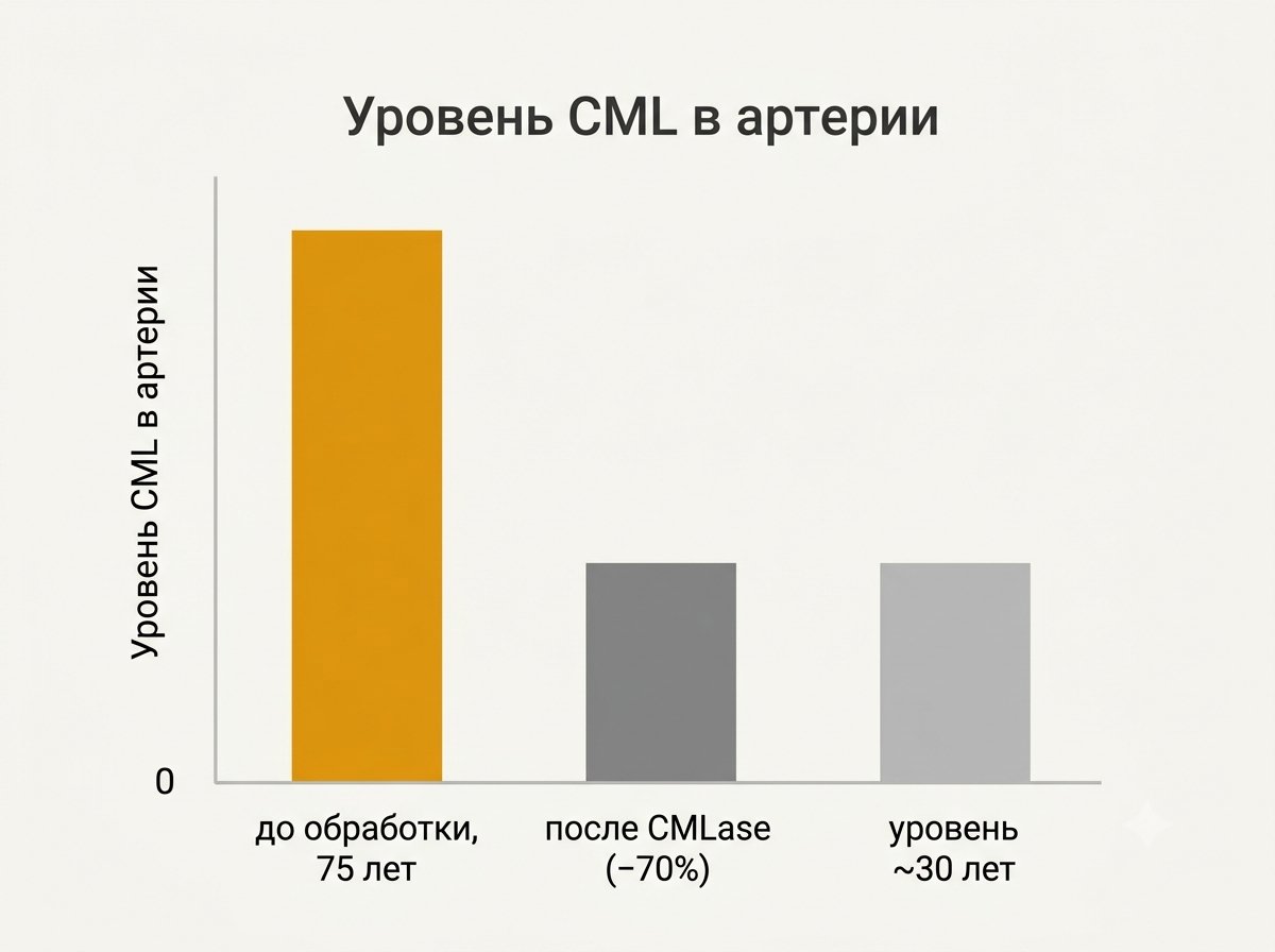 уровень CML в артерии 75-летнего донора до и после обработки, со сравнением с ~30-летней тканью